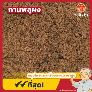 กานพลูผง (Clove Powder) 丁香粉 ขนาด 1 กิโลกรัม