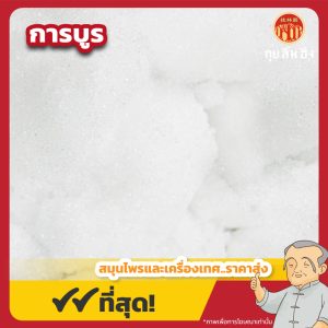 การบูร (Camphor) 香樟 ขนาด 1 กิโลกรัม