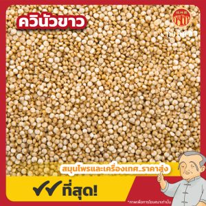 ควินัวขาว (White Quinoa) 白藜麦 ขนาด 1 กิโลกรัม
