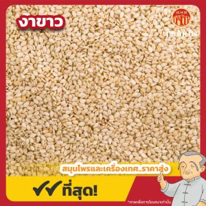 งาขาว (White Sesame) 白芝麻 ขนาด 1 กิโลกรัม
