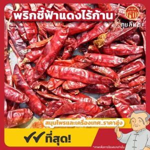 พริกชี้ฟ้าแดงแห้งไร้ก้าน 指天椒 ขนาด 1 กิโลกรัม