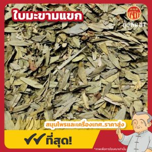ใบมะขามแขก (เซี้ยเฮียะ) 番泻叶 ขนาด 1 กิโลกรัม