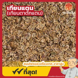 เทียนแตน เทียนตาตั๊กแตน (Dill) ขนาด 1 กิโลกรัม