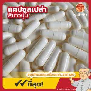 แคปซูลเปล่าสีขาวขุ่น เบอร์ 0 (White Capsule) 胶囊 ขนาด 100 กรัม