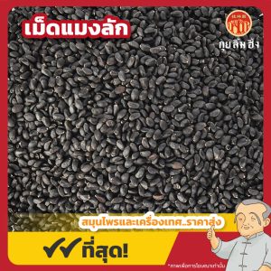 เม็ดแมงลัก (Hoary Basil Seed) 兰香子 ขนาด 1 กิโลกรัม
