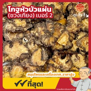 โกฐหัวบัวแผ่น เบอร์ 2 (ชวงเกียงแผ่น) 川芎片 ขนาด 1 กิโลกรัม