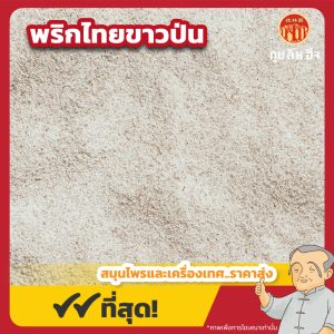 พริกไทยขาวป่น (White Pepper Powder) 白胡椒粉 ขนาด 1 กิโลกรัม
