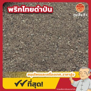 พริกไทยดำป่น (Black Pepper Powder) 黑胡椒粉 ขนาด 1 กิโลกรัม