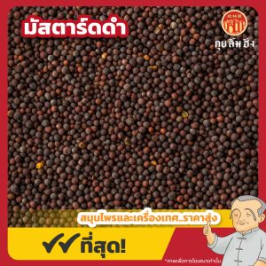 มัสตาร์ดดำ (อั่งไก่จี้) 黑芥子 ขนาด 1 กิโลกรัม