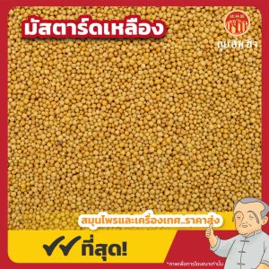 มัสตาร์ดเหลือง (แปะไก่จี้) 白芥子 ขนาด 1 กิโลกรัม