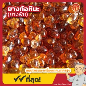 ยางท้อหิมะ (Peach Gum) 桃胶 ขนาด 500 กรัม