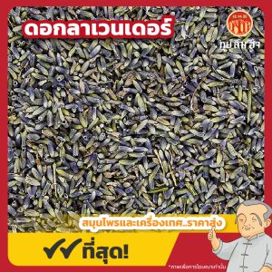 ดอกลาเวนเดอร์ (Lavender) 薰衣草 ขนาด 250 กรัม
