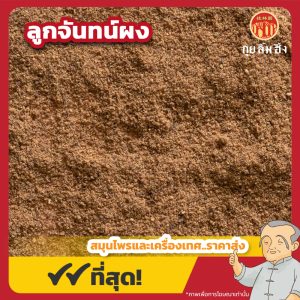 ลูกจันทน์ผง (Nutmeg Powder) 肉荳蔻粉 ขนาด 1 กิโลกรัม