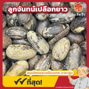 ลูกจันทน์เปลือกยาว (Nutmeg) 肉荳蔻 ขนาด 1 กิโลกรัม
