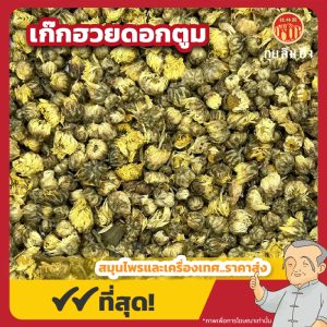 เก๊กฮวยดอกตูม (Chrysanthemum) 菊花 ขนาด 200 กรัม