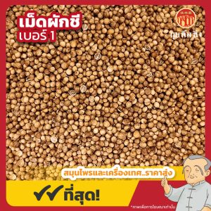 เม็ดผักชี เบอร์ 1 (ง่วงจี้) 香菜子 ขนาด 1 กิโลกรัม