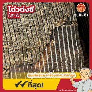 โต่วต๋งซี ใส A 杜仲 ขนาด 600 กรัม
