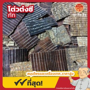 โต่วต๋งซี กัก 杜仲丝 ขนาด 1 กิโลกรัม