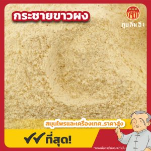 กระชายขาวผง (Fingerroot Powder) 凹唇姜粉 ขนาด 1 กิโลกรัม