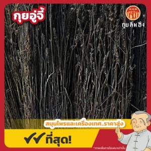 กุยอู่จี้ 鬼羽箭 ขนาด 1 กิโลกรัม