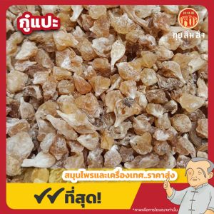 กู๋แปะ 薤白 ขนาด 1 กิโลกรัม