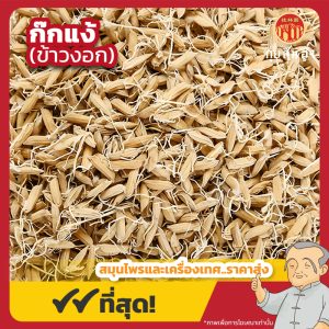 ก๊กแง้ (ข้าวงอก) 谷芽 ขนาด 1 กิโลกรัม