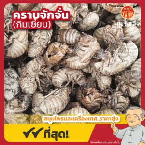 คราบจักจั่น (กิมเซี้ยม) 蝉蜕 ขนาด 1 กิโลกรัม