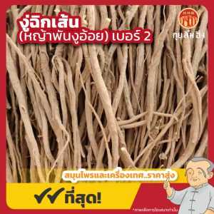 งู่ฉิกเส้น เบอร์ 2 (หญ้าพันงูอ้อย) 牛膝条 ขนาด 1 กิโลกรัม