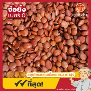 จ๋อยิ้ง เบอร์ 0 (ซึงจ๋อยิ้ง) 酸枣仁 ขนาด 1 กิโลกรัม
