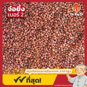 จ๋อยิ้ง เบอร์ 2 (ซึงจ๋อยิ้ง) 酸枣仁 ขนาด 1 กิโลกรัม