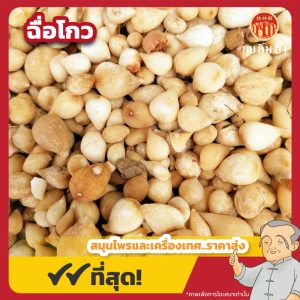 ฉื่อโกว 光慈菇 ขนาด 1 กิโลกรัม