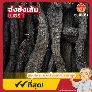 ฉ่งย้งเส้นแข็ง เบอร์ 1 肉苁蓉 ขนาด 1 กิโลกรัม