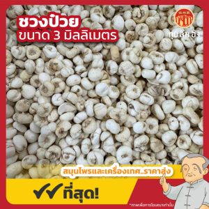 ชวงป๋วย 3 มม. (ชวงป่วยบ้อ) 川贝母 ขนาด 1 กิโลกรัม