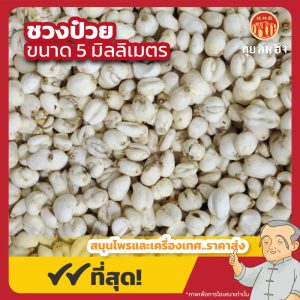 ชวงป๋วย 5 มม. (ชวงป่วยบ้อ) 川贝母 ขนาด 1 กิโลกรัม