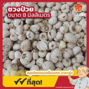 ชวงป๋วย 8 มม. (ชวงป่วยบ้อ) 川贝母 ขนาด 1 กิโลกรัม