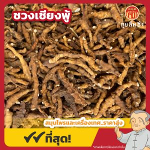 ชวงเชียงพู้ 节菖蒲 ขนาด 1 กิโลกรัม
