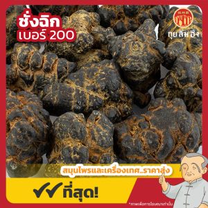 ชั่งฉิก เบอร์ 200 (Tienchi Ginseng) 田七 ขนาด 1 กิโลกรัม