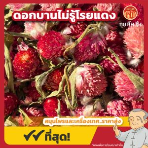 ดอกบานไม่รู้โรยแดง (Red Globe Amaranth) ชาบานไม่รู้โรยแดง ขนาด 250 กรัม