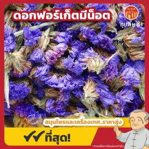 ดอกฟอร์เก็ตมีน็อต (Forget-me-not) ชาฟอร์เก็ตมีน็อต ขนาด 250 กรัม
