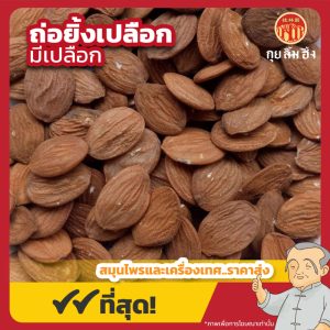 ถ่อยิ้งเปลือก มีเปลือก (เมล็ดพีช) 桃仁 ขนาด 1 กิโลกรัม