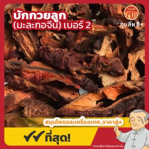 บักกวยลูก เบอร์ 2 (มะละกอจีน) 川木瓜 ขนาด 1 กิโลกรัม