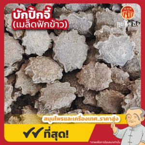 บักปิ้กจี้ (เมล็ดฟักข้าว) 木鱉子 ขนาด 1 กิโลกรัม