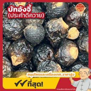 บักอังจี้ (ประคำดีควาย) 无患子 ขนาด 1 กิโลกรัม