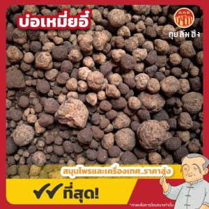 บ่อเหมี่ยอี๋ 無名異 ขนาด 1 กิโลกรัม