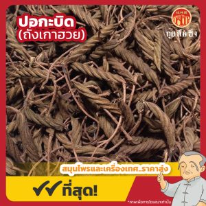 ปอกะบิด (ถั่งเกาฮวย) 火索麻 ขนาด 1 กิโลกรัม