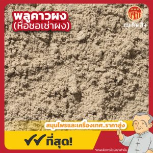 พลูคาวผง (หื่อชอเช่าผง) 鱼腥草粉 ขนาด 1 กิโลกรัม