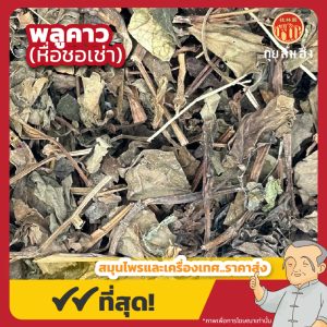 พลูคาว (หื่อชอเช่า) 鱼腥草 ขนาด 1 กิโลกรัม