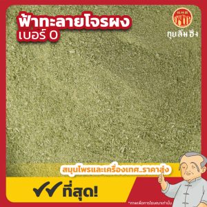 ฟ้าทะลายโจรไทยผง เบอร์ 0 穿心莲粉 ขนาด 1 กิโลกรัม