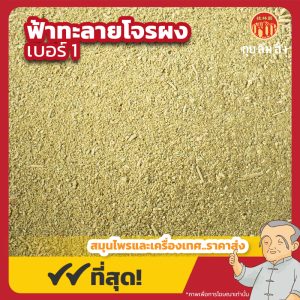 ฟ้าทะลายโจรจีนผง เบอร์ 1 (ฉ่วงซิมไน้จีนผง) 穿心莲粉 ขนาด 1 กิโลกรัม