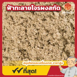 ฟ้าทะลายโจรผงสกัด 穿心莲粉 ขนาด 1 กิโลกรัม